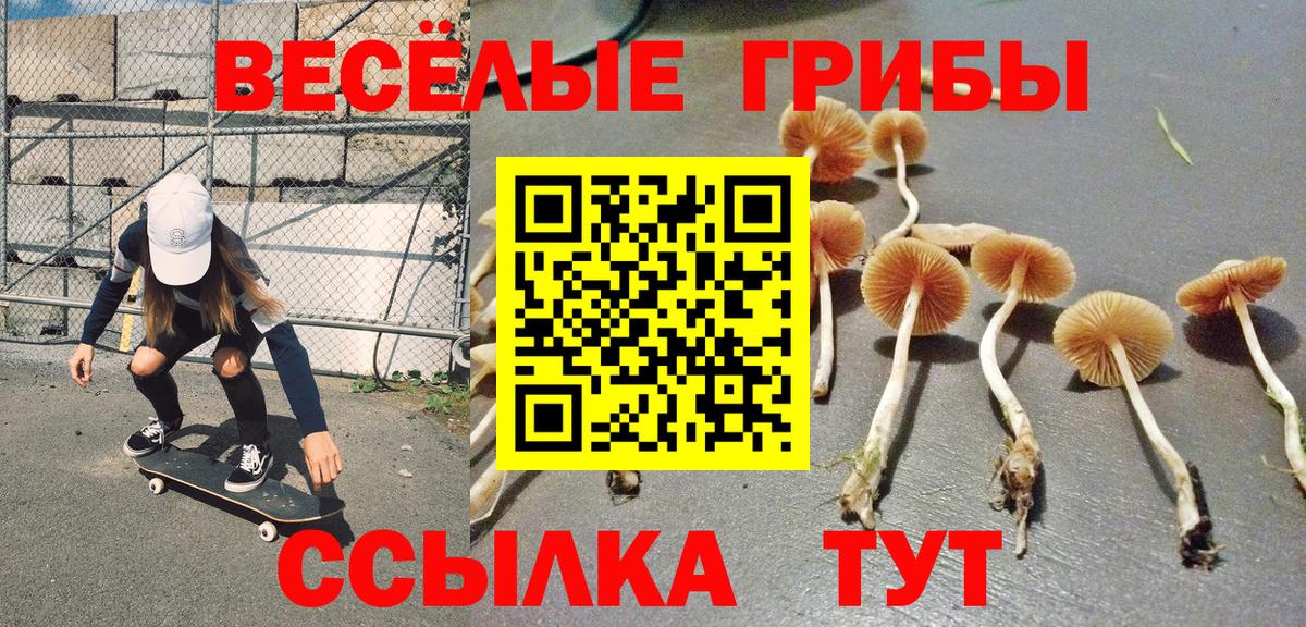 Фрязино  Псилоцибиновые грибы MAGIC MUSHROOMS  Вход с VPN  Галлюциногенные грибы GOLDEN TEACHER 